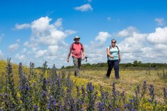 NH-duin.wandelen